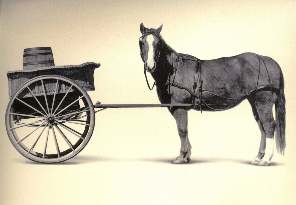 cart_before_the_horse